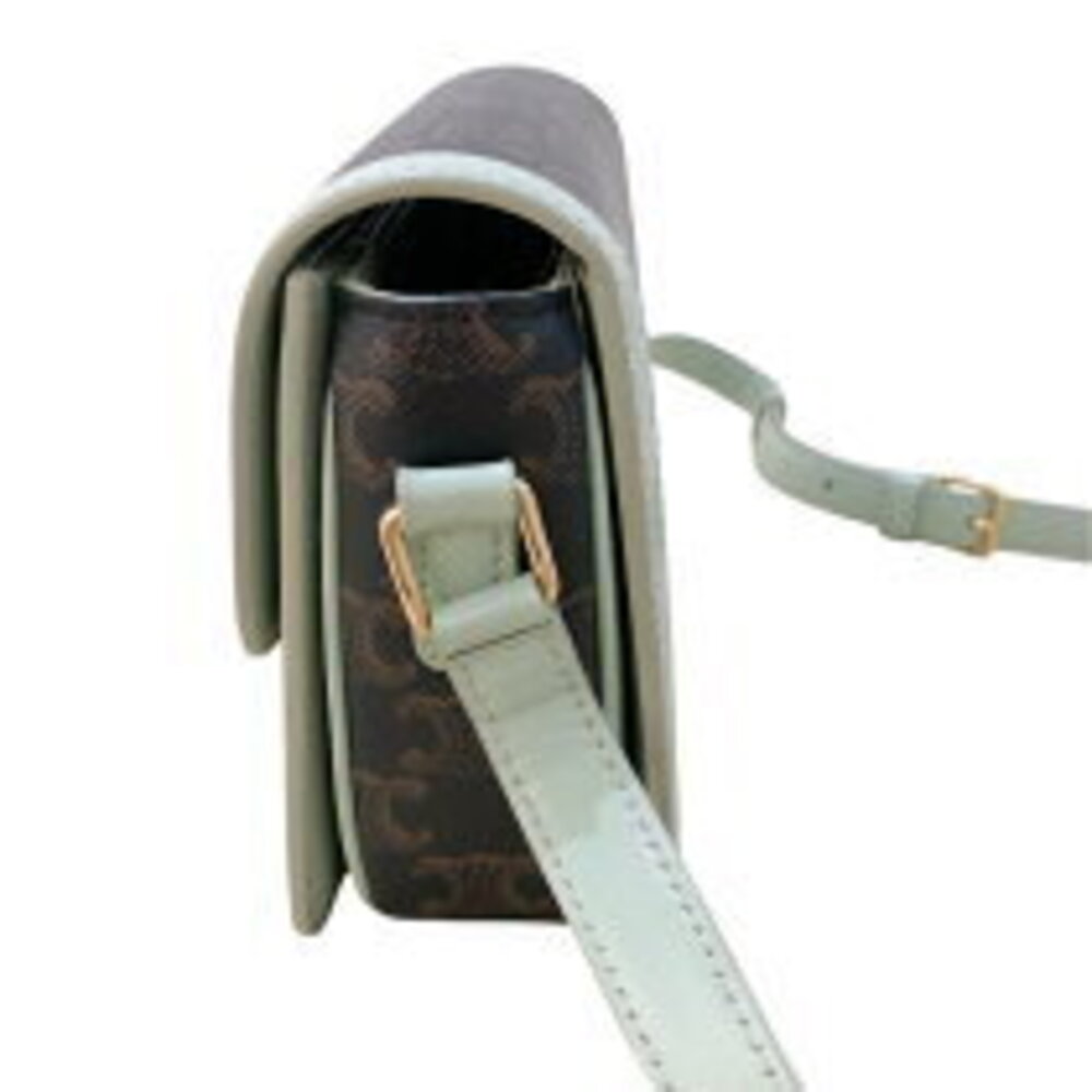 Celine Canvas Bag Green Leather Triomphe Calf Teen - Picture 4 of 11